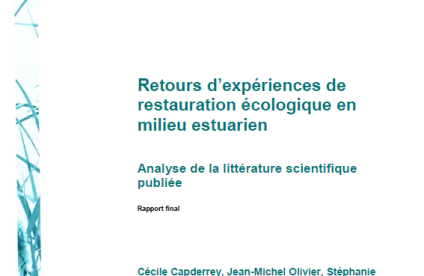 Retours d'expériences de restauration écologique en milieu estuarien (2016)