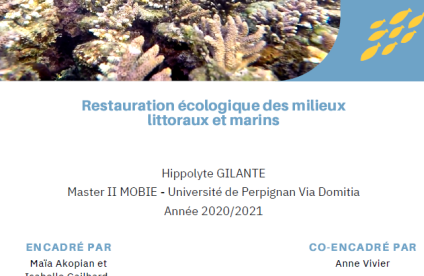Restauration écologique des milieux marins et littoraux (2021)