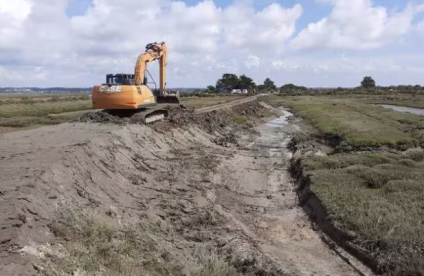 Restauration d'un talus financée par le Life Sallina