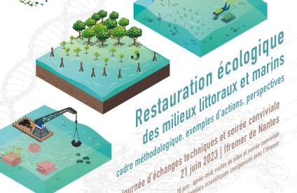 Restauration écologique des milieux littoraux et marins