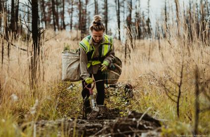 Projet de loi sur la restauration de la nature