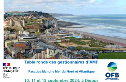 Dieppe AMP