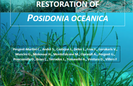 Guidelines for the active restoration of posidonia oceanica