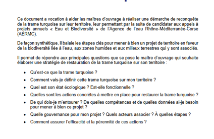 Document d’aide à la définition d’une stratégie de restauration de la trame turquoise (AERMC/CEREMA)