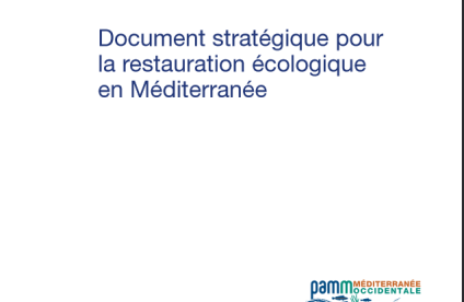 Document stratégique pour la restauration écologique en Méditerranée (2019)