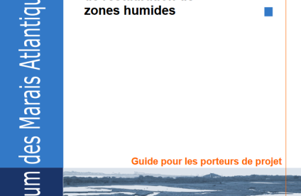 Mettre en place un projet de restauration de zones humides (FMA - 2009)