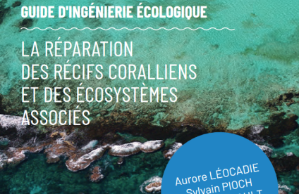 GUIDE D'INGÉNIERIE ÉCOLOGIQUE: LA RÉPARATION DES RÉCIFS CORALLIENS ET DES ÉCOSYSTÈMES ASSOCIÉS (2020)