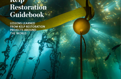 Kelp Restoration - Guidebook LESSONS LEARNED FROM KELP RESTORATION PROJECTS AROUND THE WORLD (2022)