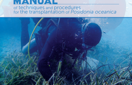 manual of techniques and procedures for the transplantation of Posidonia oceanica (2022)