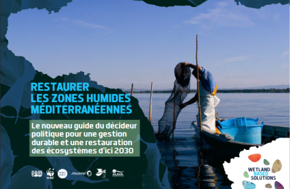  RESTAURER LES ZONES HUMIDES MÉDITERRANÉENNES - Le nouveau guide du décideur politique pour une gestion durable et une restauration des écosystèmes d'ici 2030 (2023)