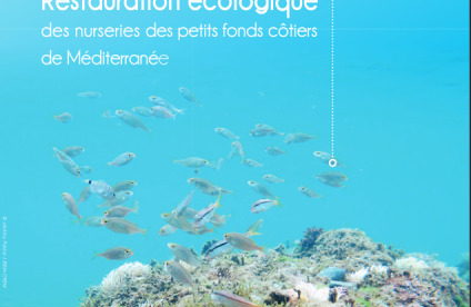 restauration écologique des nurseries des petits fonds côtiers de méditerranée (DRIVER, 2015))