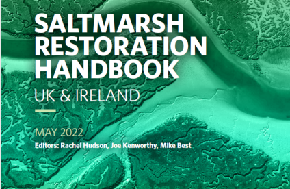 Saltmarsh restoration