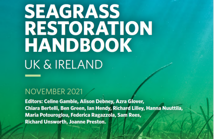 Seagrass restoration