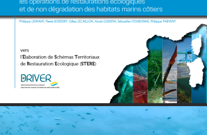 ORGANISER, PLANIFIER ET COORDONNER - les opérations de restaurations écologiques et de non dégradation des habitats marins côtiers (DRIVER)