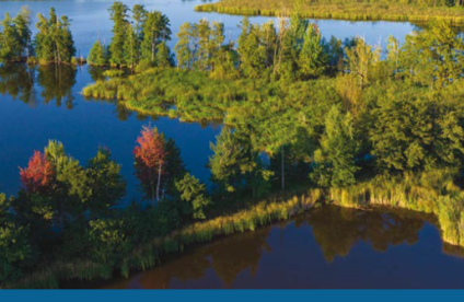 The Nature Restoration Regulation