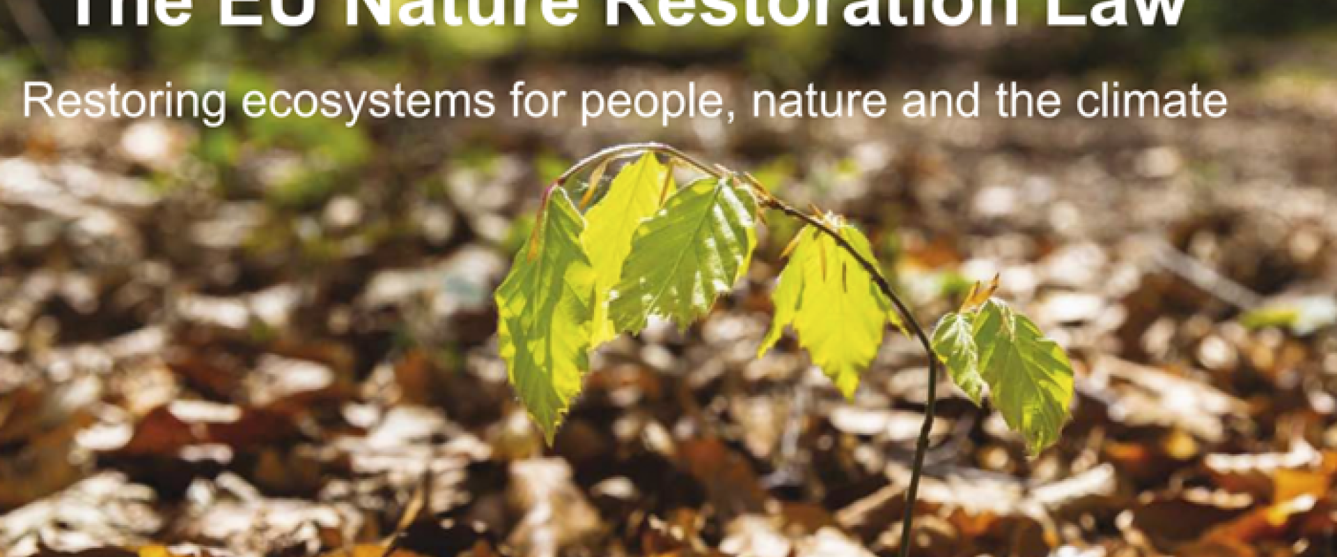 EU Nature Restoration Law