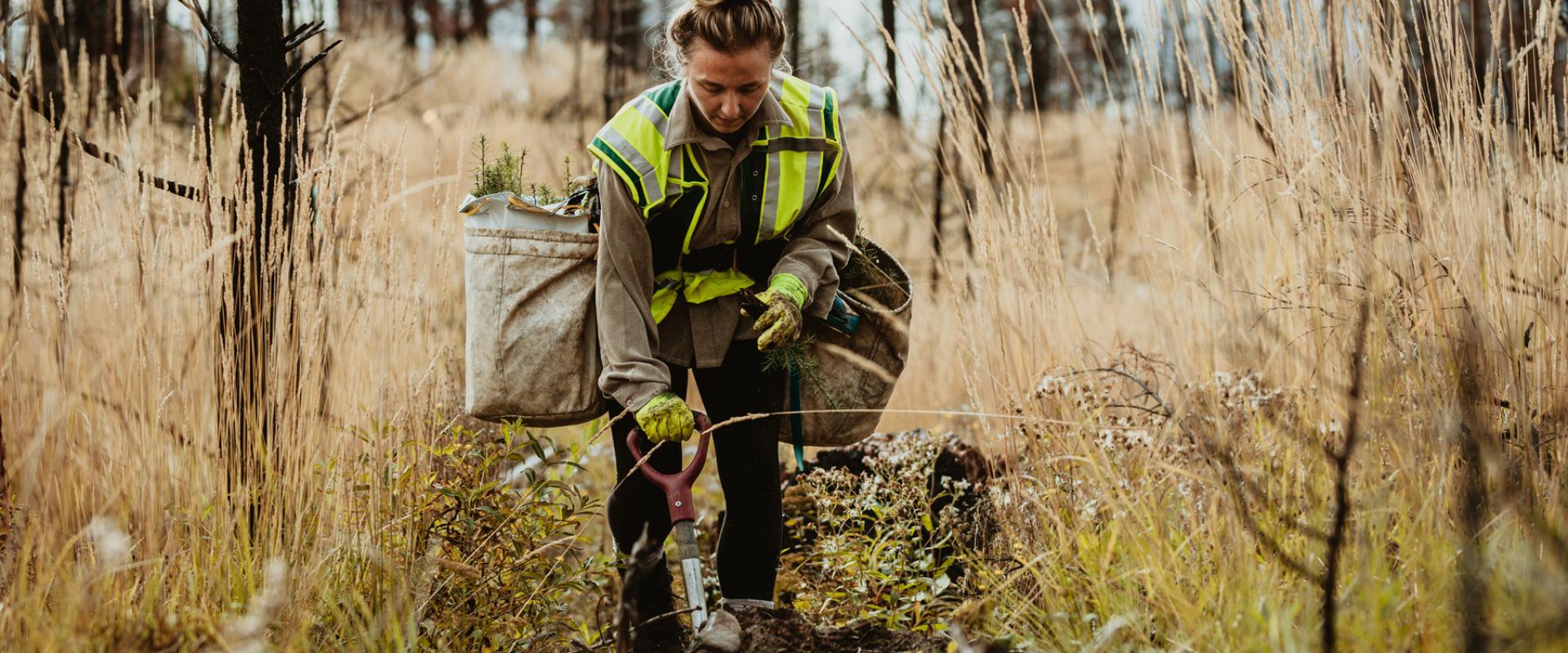 Projet de loi sur la restauration de la nature