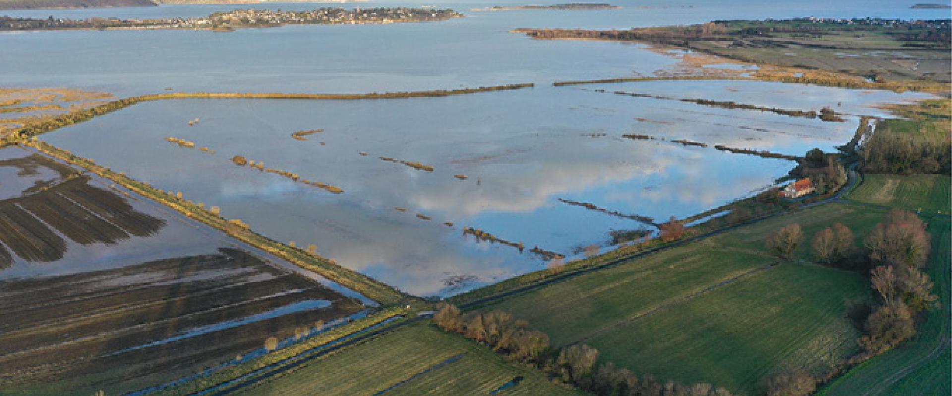 Marais de Beaussais, N. Lamontagne, A. Collin